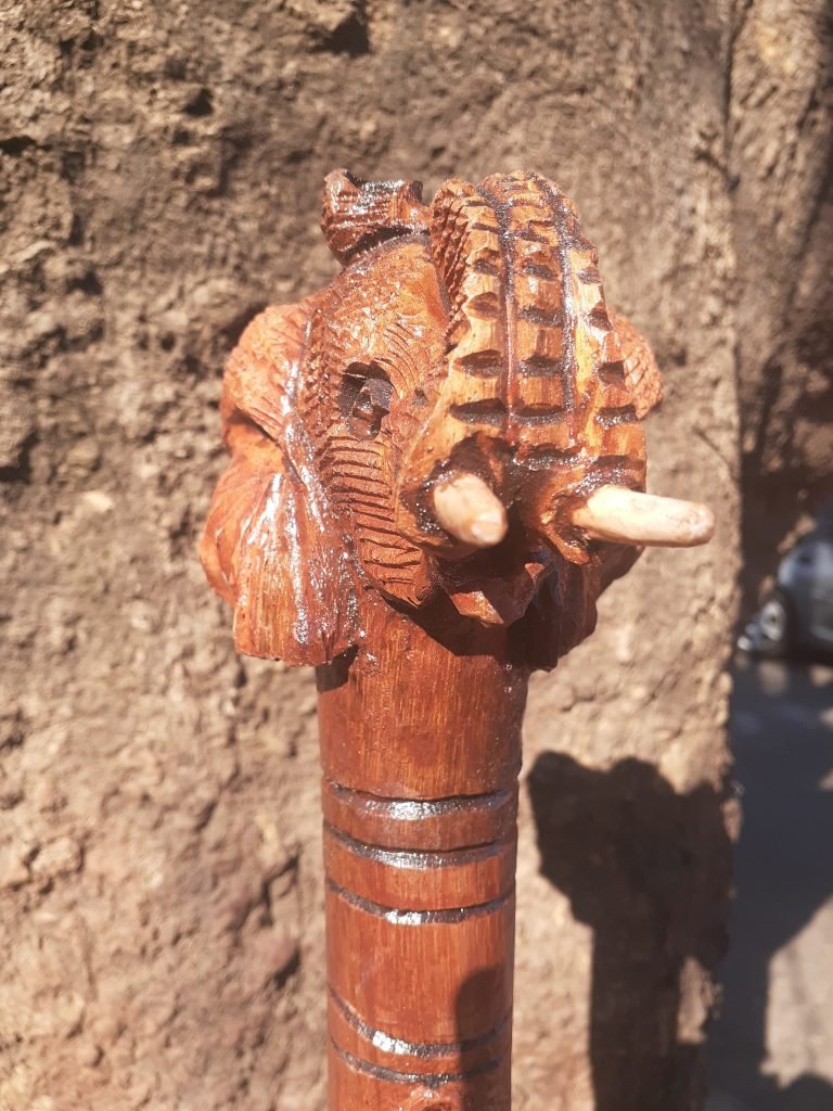 African Walking sticks 3 117731681 2592490174394305 4061684264180825556 n